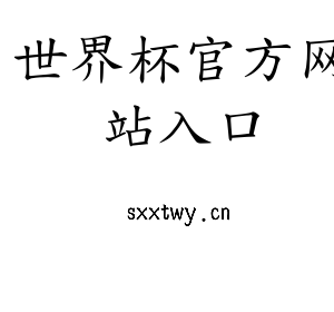 深圳市世界杯官方网站入口电子有限公司官网